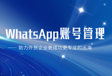 来看看外贸人的WhatsApp账号管理常遇难题是怎么解决