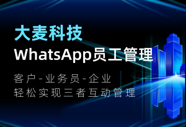 出海别瞎忙！会用WhatsApp员工管理，效率翻10倍！