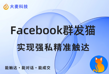 实现自动获客新逻辑：FB强私信 + WhatsApp承接