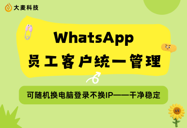 WhatsApp统一管理，私域长期可跑