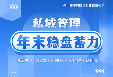 2025外贸复盘：外贸企业如何借助 WS 系统实现稳定增长