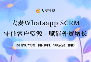 为什么越来越多外贸企业开始部署WhatsApp CRM？