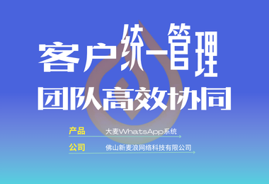 从个人运营到企业管理：外贸 WhatsApp 运营的新阶段